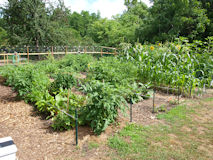 Tinton Falls Community Garden